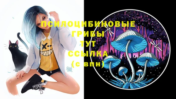 прущие крисы Алексин