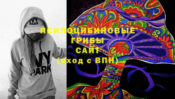 круглые Абаза