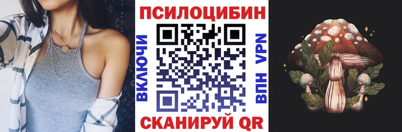 как найти наркотики  Елизово  Псилоцибиновые грибы Cubensis 